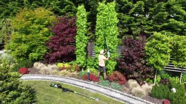Bir bahçıvan, güzel bir bahçede güneşli bir günde canlı bitkiler ve ağaçlarla çevrili uzun bir çiti ustalıkla buduyor..