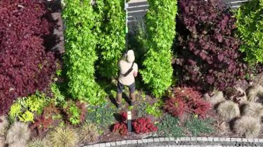 Kendini adamış bir bahçıvan, gün boyunca renkli bir bahçedeki canlı yeşil bitkileri budayarak manzaranın güzelliğini ve sağlığını geliştirir..