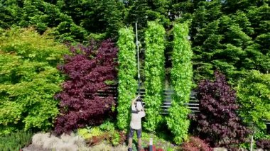 Bir bahçıvan açık mavi gökyüzünün altında renkli yapraklarla dolu canlı bir bahçede yemyeşil bitkileri budamak için uzun bir direk kullanır..