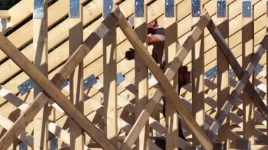 Yetenekli bir işçi, güneşli bir günde şantiyede bir çatı yapısını inşa ederken ahşap kirişler birleştirir, işçilik ve takım çalışması sergiler..