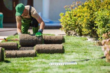 Bir bahçıvan özenle yemyeşil çimlere taze çimenler seriyor güneşli bir günde bakımlı bir bahçenin güzelliğini arttırıyor..