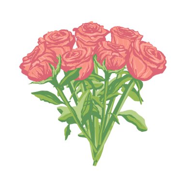 beautiful rose hand drawing isolated on white.