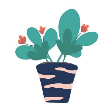 Pot flowers. isolated on white hand drawing.