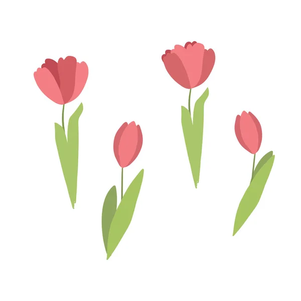 stock vector flat icon on white background tulip blooms . 8 March . Womens spring day