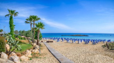 Landscape with Fig Tree Bay in Protaras, Cyprus clipart