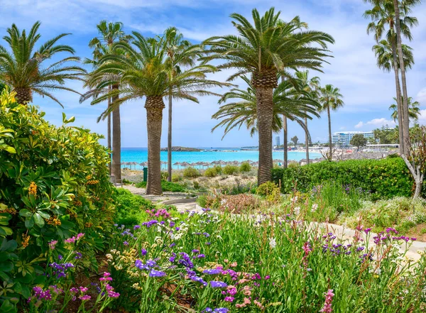Landschap Met Nissi Strand Ayia Napa Cyprus Eiland — Stockfoto