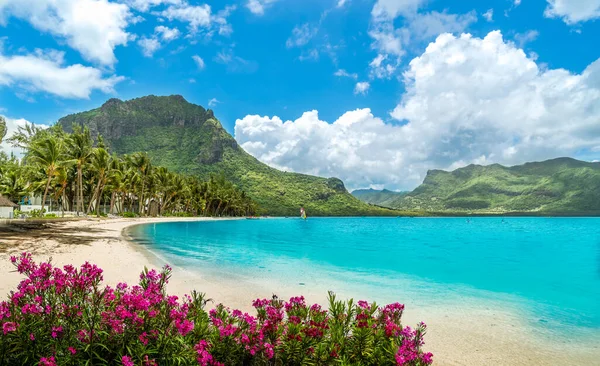 Landscape Morne Beach Mountain Mauritius Island Africa — Stock Photo, Image