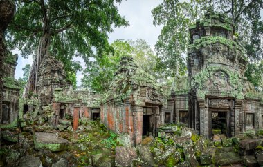 Antik Ta Prohm Tapınağı, Angkor Thom, Siem Reap, Kamboçya.