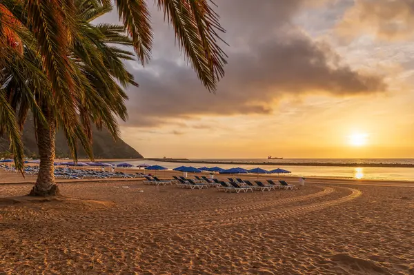 stock image Explore the serene Las Teresitas Beach with its golden Sahara sands, nestled by Tenerife lush Anaga Mountains