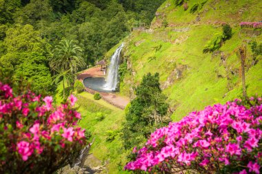 Discover the enchanting Ribeira dos Caldeiroes Park in Sao Miguel, a serene Azorean haven featuring lush landscapes and cascading waterfalls. clipart