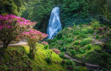 Discover the enchanting Ribeira dos Caldeiroes Park in Sao Miguel, a serene Azorean haven featuring lush landscapes and cascading waterfalls. clipart