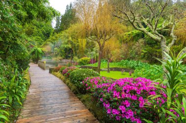 Discover the tranquil Pocas da Dona Beija hot springs nestled in Sao Miguel lush landscapes, offering a serene wellness escape amid Azores volcanic nature. clipart