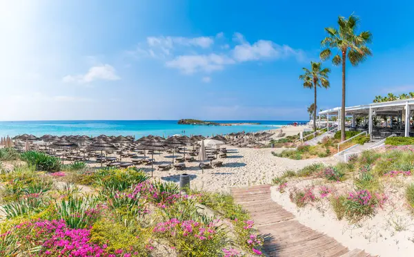 키프로스의 깨끗한 모래와 청록색 바다가 스포츠 휴가를 완벽한 로열티 프리 스톡 이미지