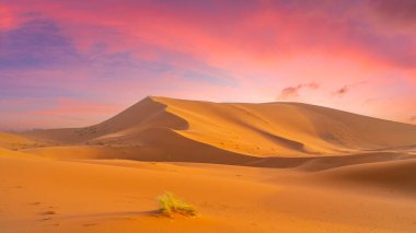 Landscape with golden sand dunes into Sahara desert of Merzouga at sunset, Morocco. clipart