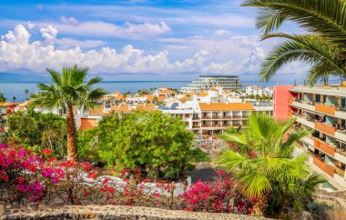 Puerto de Santiago, Tenerife. Palmiye ağaçları, canlı çiçekler ve çarpıcı okyanus manzaralı güneşli bir sahil kasabası. Mükemmel tropikal kaçış noktası.