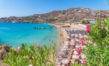 Mykonos, Yunanistan - 09 Eylül 2023: Süper Paradis plajı, Mykonos adası, Yunanistan Cyclades