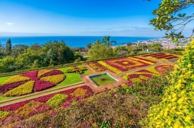 Funchal, Madeira 'daki Botanik Bahçeleri' nin güzel panoramik manzarası, canlı çiçek desenleri, yemyeşil ve okyanus zeminiyle
