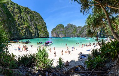 Phi Phi, Tayland - 23 Ocak 2018 Phi Adaları 'ndaki Maya Körfezi manzarası