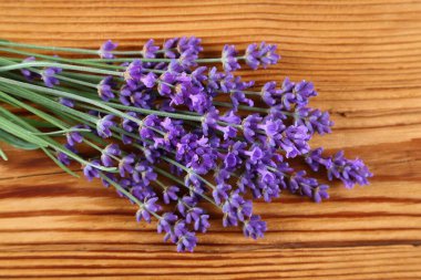 Bunch blooming lavender  on a wooden  background. Top view.