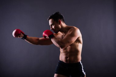 Muscular model sports young man in a boxing gloves on grey background. Male flexing his muscles.