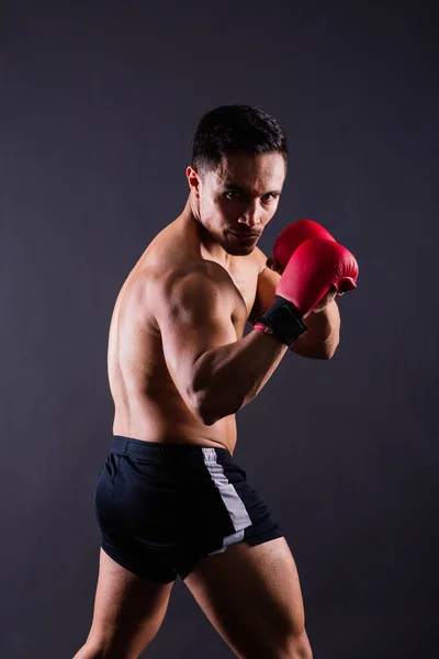 肌肉模特穿着灰色背景的拳击手套参加体育运动 雄鱼伸展肌肉 — 图库照片