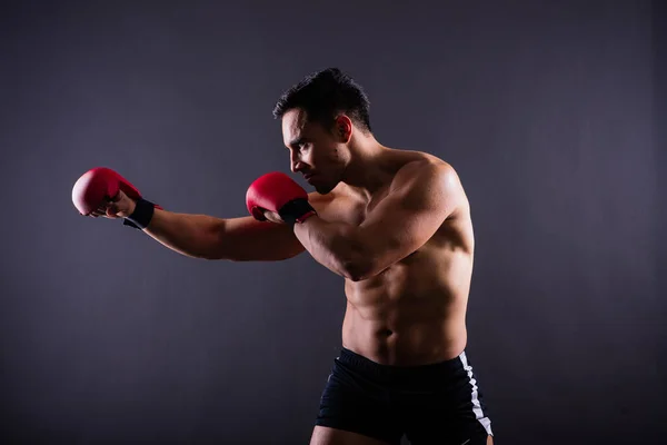 グレーの背景にボクシングの手袋で筋肉モデルのスポーツの若い男 男性は筋肉を曲げ — ストック写真