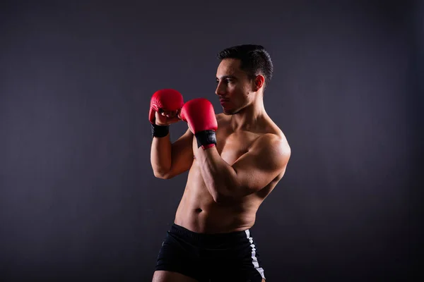 Boxeador Atleta Profesional Guantes Rojos Aislados Estudio Deporte Concepto Competición —  Fotos de Stock