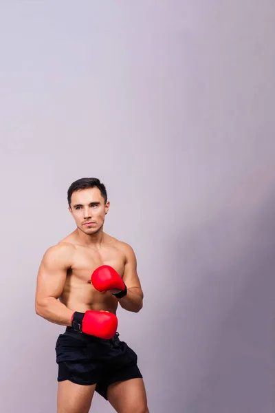 Atleta Profissional Boxeador Luvas Vermelhas Isolado Estúdio Desporto Conceito Concorrência — Fotografia de Stock