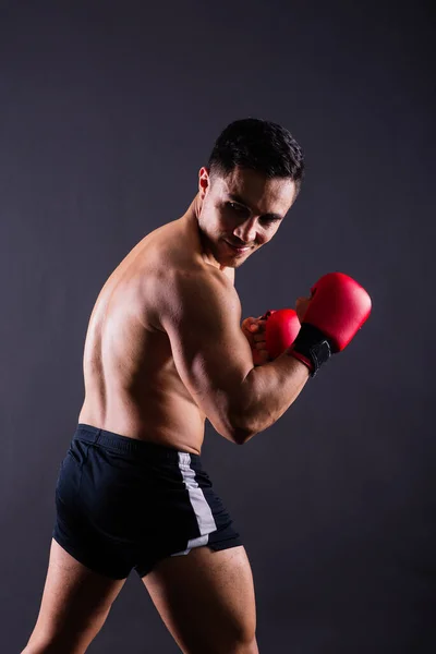 Boxeador Atleta Profesional Guantes Rojos Aislados Estudio Deporte Concepto Competición — Foto de Stock