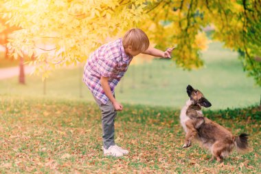 Tatlı çocuk çayırda köpeğiyle oynuyor ve yürüyor..