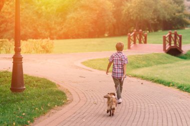 Tatlı çocuk çayırda köpeğiyle oynuyor ve yürüyor..