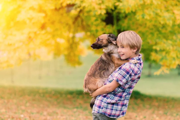 Boy hugging a dog and plyaing with in the fall, city park