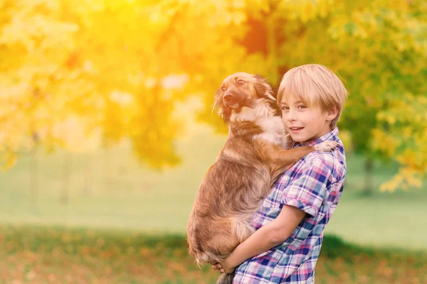 Хлопчик Обіймає Собаку Грає Восени Міський Парк — стокове фото