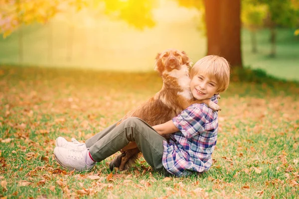 Αγόρι Αγκαλιάζει Ένα Σκύλο Και Παίζει Μαζί Του Φθινόπωρο Στο — Φωτογραφία Αρχείου