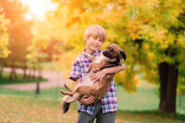 Çocuk sonbaharda bir köpeğe sarılıyor ve onunla kırıştırıyor, şehir parkında