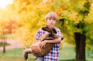 Tatlı çocuk çayırda köpeğiyle oynuyor ve yürüyor..