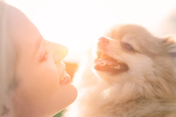 Close Portrait Smiling Young Attractive Woman Embracing Pomeranian Spitz Royalty Free Stock Images