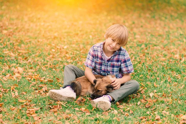 Tatlı çocuk çayırda köpeğiyle oynuyor ve yürüyor..