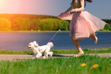 Köpeği olan genç bir kadın. Sahibi olan beyaz köpek yavrusu. Arkadaşlık, hayvan ve özgürlük kavramları.