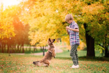 Tatlı çocuk çayırda köpeğiyle oynuyor ve yürüyor..