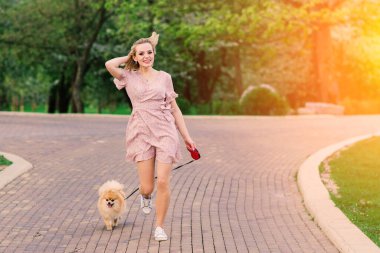 Elinde sevimli Pomeranya tükürüğüyle pembe elbise giyen çekici bir kadının portresi. - Evet. Köpekler ve insanlar arasındaki arkadaşlık..