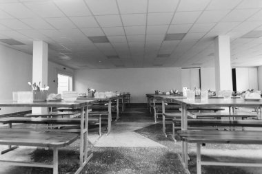 Kafeterya, üniversitede yemek odası, masa ve sandalyeli kafe, tezgah bar oteli..