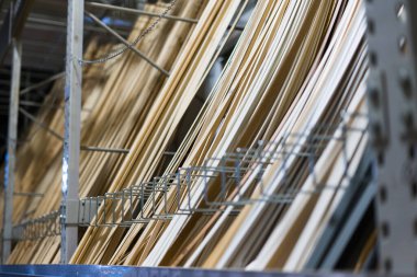 Ahşap zemin döşemesi, süpürgelik çeşitleri. Çevre dostu malzemelerin üretimi