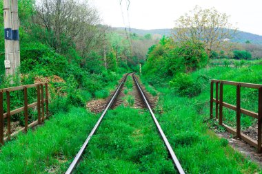 Bir çayırdaki demiryolu, demiryolu arka planının inşası.