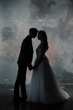 Klasik bir stüdyonun içinde şirin bir düğün çifti. Öpüşüyorlar ve sarılıyorlar..