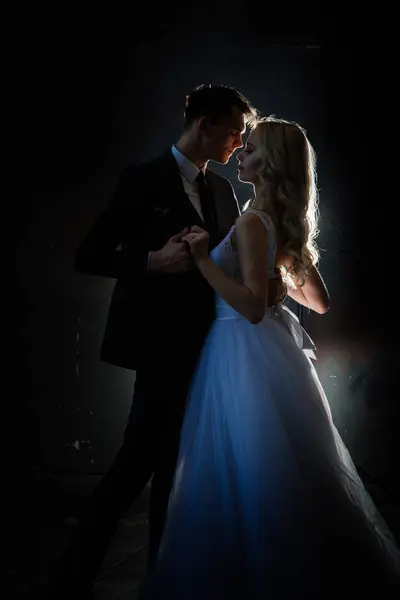 Art Fashion Studio Photo Wedding Couple Silhouette Groom Bride Colors Stock Photo