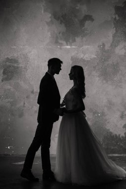 Klasik bir stüdyonun içinde sevimli bir evlilik çifti. Öpüşüyorlar ve sarılıyorlar..