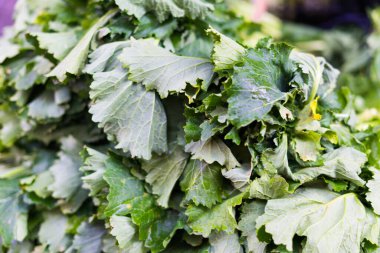Açık hava çiftçi pazarında satılık lahana sebzeleri, İtalya
