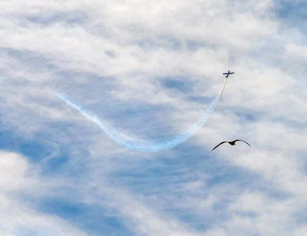 Kunstflugkulisse Zeigt Ein Fliegendes Propellerflugzeug Mit Rauchspur Und Vogel Der — Stockfoto