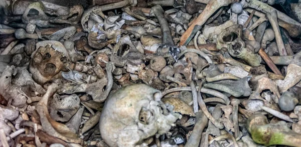 Wiele Ludzkich Kości Poległych Żołnierzy Widzianych Douaumont Ossuary Pomnik Znajdujący — Zdjęcie stockowe